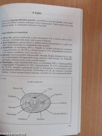 Élelmiszer alapismeretek