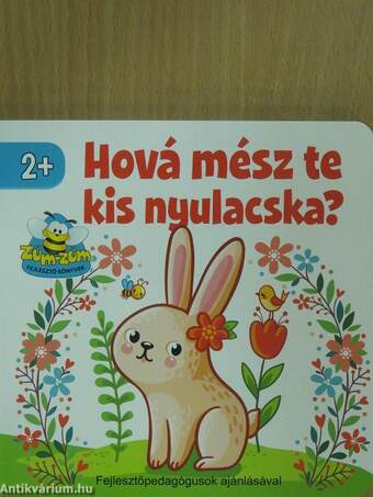 Hová mész te kis nyulacska?