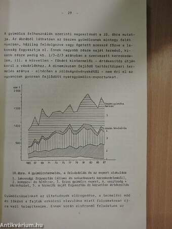 A kertészeti termesztés jellemzése - Zöldségtermesztés