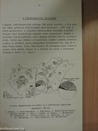 A kertészeti termesztés jellemzése - Zöldségtermesztés