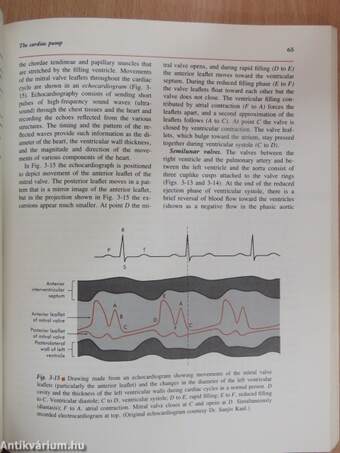 Cardiovascular Physiology