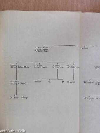 Szegedi könyvtári műhely 1985/4.