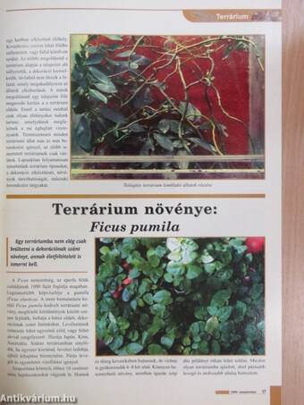 Hobbiállat magazin 1999. szeptember