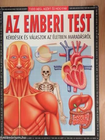 Az emberi test