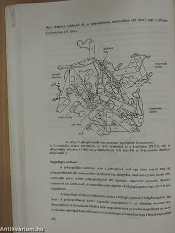 Szerves és bioorganikus kémia II. (töredék)