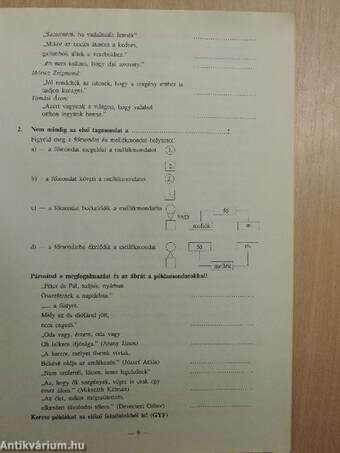 Házi feladat magyar nyelvből 8. osztályosoknak