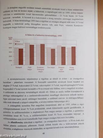 A központi régió szerepe a gazdasági kibontakozásban 1996