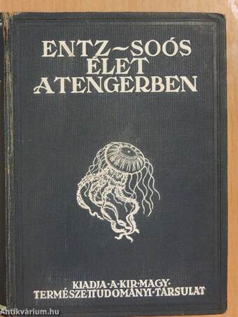 Élet a tengerben