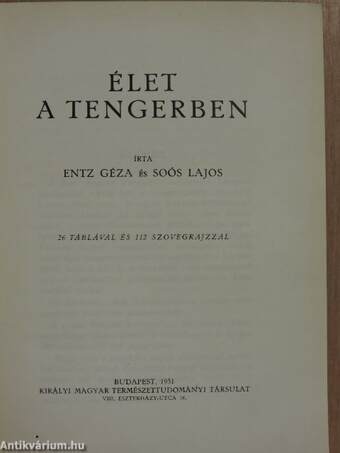 Élet a tengerben