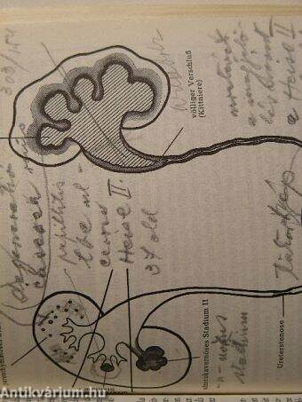 Leitfaden der Urologie