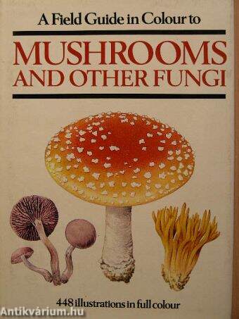 A field to guide in colour to mushrooms and other fungi