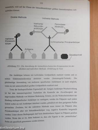 Molekulare Zellbiologie - Laborhandbuch