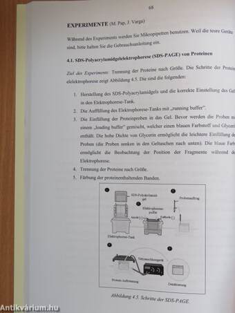 Molekulare Zellbiologie - Laborhandbuch