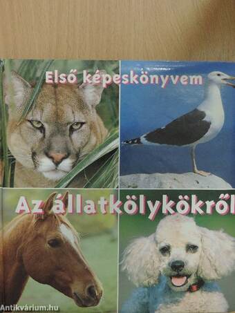 Első képeskönyvem az állatkölykökről
