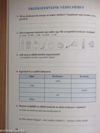 Egészségtan munkafüzet 6.