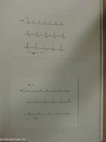 A Magyar Anaesthesiologiai és Reanimatiós Társaság Országos Vándorgyűlése II.