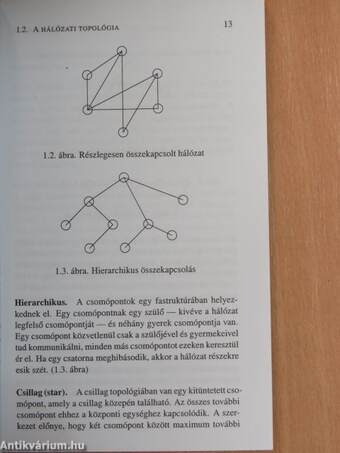 Hálózatok, Internet