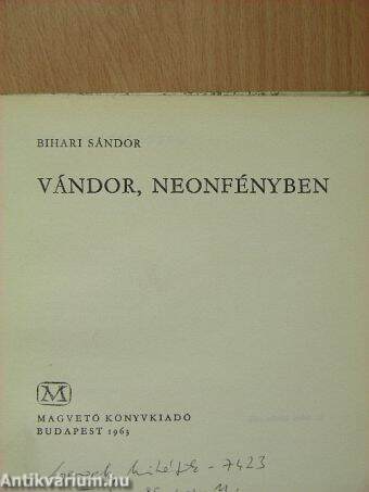 Vándor, neonfényben