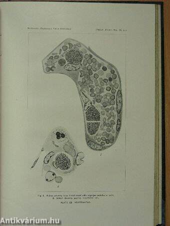 The Philippine Journal of Science 1929. May to August