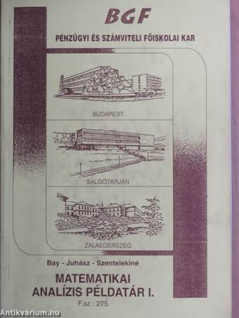 Matematikai analízis példatár I-II.