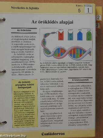 Családorvos-Az Egészség Enciklopédiája I-V.