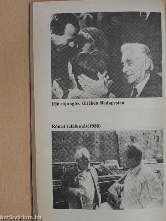 Bernstein és Budapest