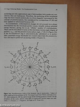 Principles of Nucleic Acid Structure