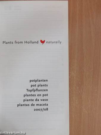 Potplanten/Pot Plants/Topfpflanzen/Plantes en pot/Piante da vaso/Plantas de maceta 2007/08