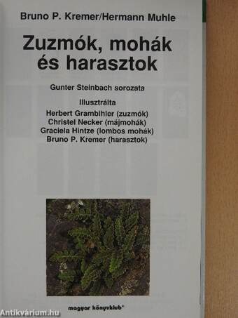 Zuzmók, mohák és harasztok