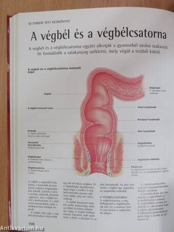 Az emberi test kézikönyve