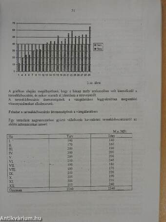 Termelő-szolgáltató tevékenység elemzése és ellenőrzése II.