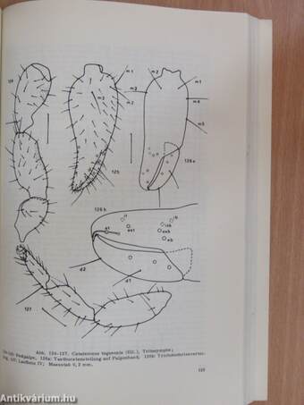 Folia Entomologica Hungarica 1978.