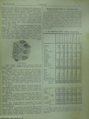 Vadász-lap 1894. (nem teljes évfolyam)