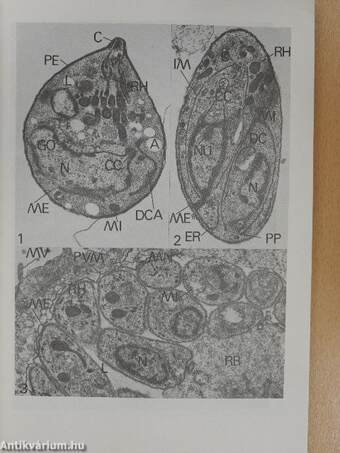 Parasitologia Hungarica 1979/12.