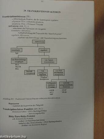 Molekulare Zellbiologie - Syllabus