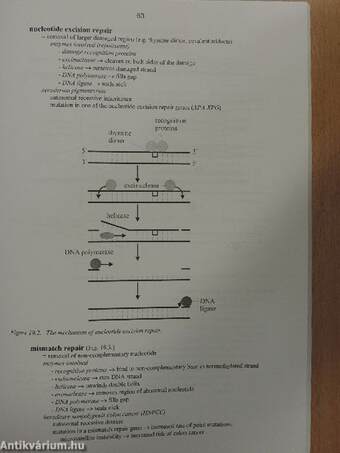 Molecular Cell Biology - Syllabus