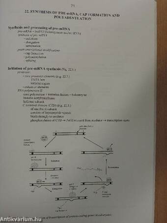 Molecular Cell Biology - Syllabus