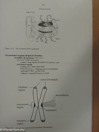 Molecular Cell Biology - Syllabus