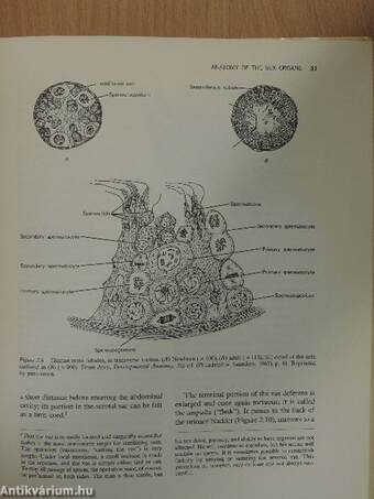 Fundamentals of Human Sexuality