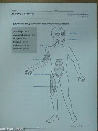 Developing Good Health - Test and Study Booklet - Teacher Key