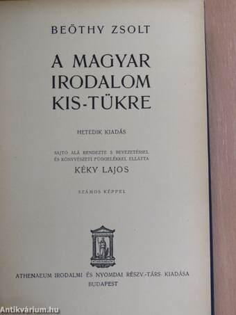 A magyar irodalom kis-tükre 