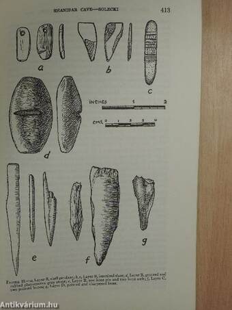 Shanidar Cave, a Paleolithic Site in Northern Iraq