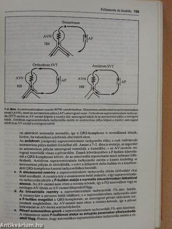 A belgyógyászati terápia kézikönyve