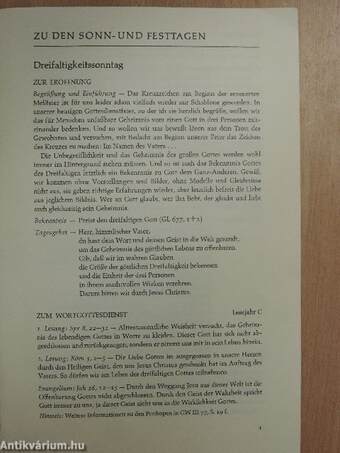 Zur Liturgie der Sonn- und Festtage