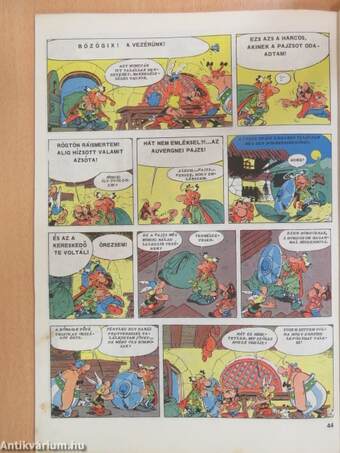 Asterix - Az auvergne-i pajzs