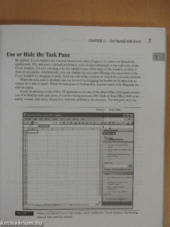 How to Do Everything with Microsoft Office Excel 2003