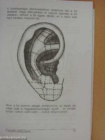 Fülreflexológia