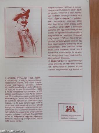 Johann Strauss: A cigánybáró