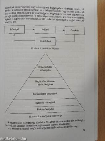 Szervezés-vezetés a gazdasági-szolgáltatási szakterület számára