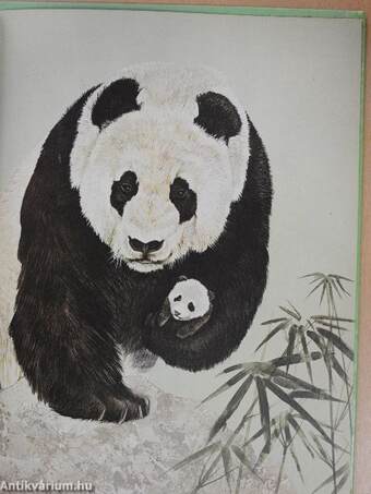 Pandas